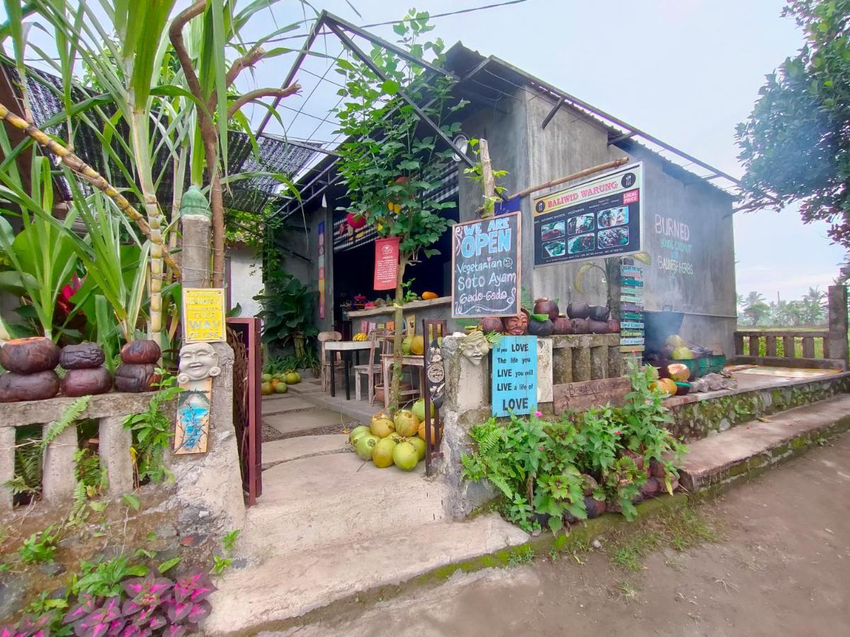 D'Nanda Villa Ubud Exterior foto
